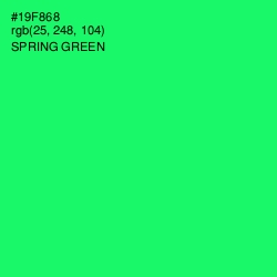 #19F868 - Spring Green Color Image