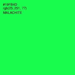 #19FB4D - Malachite Color Image