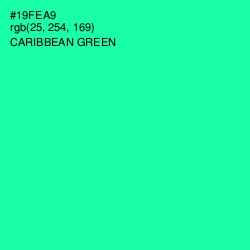 #19FEA9 - Caribbean Green Color Image