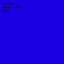 #1A01E3 - Blue Color Image