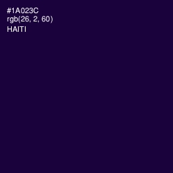 #1A023C - Haiti Color Image