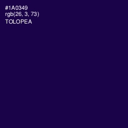 #1A0349 - Tolopea Color Image