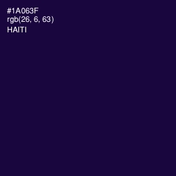 #1A063F - Haiti Color Image