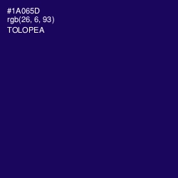 #1A065D - Tolopea Color Image