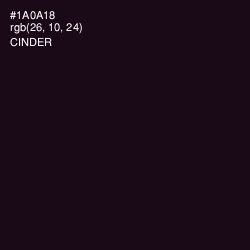 #1A0A18 - Cinder Color Image