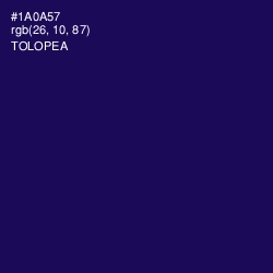 #1A0A57 - Tolopea Color Image