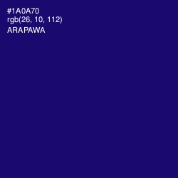 #1A0A70 - Arapawa Color Image