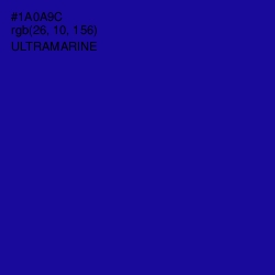 #1A0A9C - Ultramarine Color Image