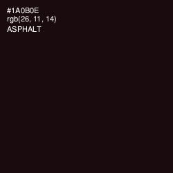 #1A0B0E - Asphalt Color Image