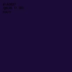 #1A0B37 - Haiti Color Image