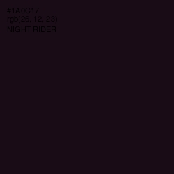 #1A0C17 - Night Rider Color Image