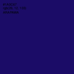 #1A0C67 - Arapawa Color Image