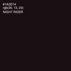 #1A0D14 - Night Rider Color Image