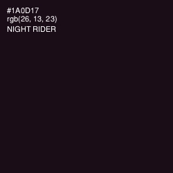 #1A0D17 - Night Rider Color Image