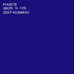 #1A0E7B - Deep Koamaru Color Image