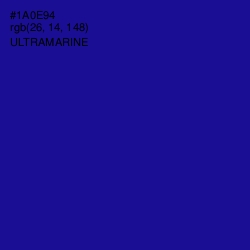 #1A0E94 - Ultramarine Color Image