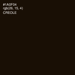 #1A0F04 - Creole Color Image