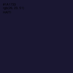 #1A1733 - Haiti Color Image