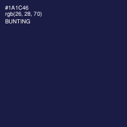 #1A1C46 - Bunting Color Image