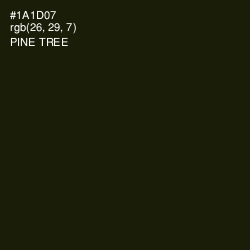 #1A1D07 - Pine Tree Color Image