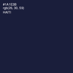 #1A1E3B - Haiti Color Image