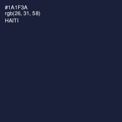 #1A1F3A - Haiti Color Image