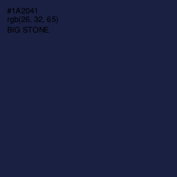 #1A2041 - Big Stone Color Image