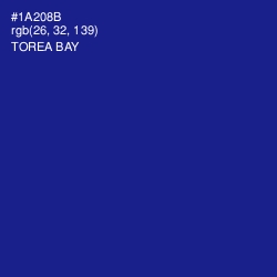 #1A208B - Torea Bay Color Image