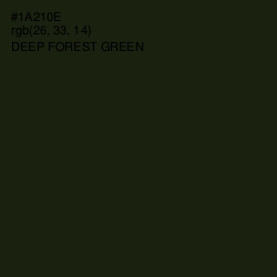 #1A210E - Deep Forest Green Color Image