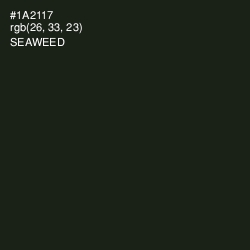 #1A2117 - Seaweed Color Image