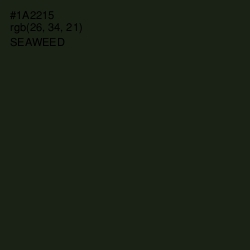 #1A2215 - Seaweed Color Image