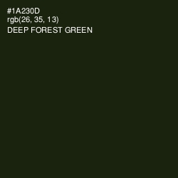 #1A230D - Deep Forest Green Color Image