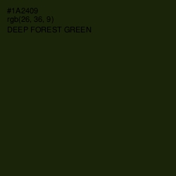 #1A2409 - Deep Forest Green Color Image