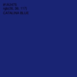 #1A2475 - Catalina Blue Color Image