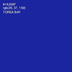 #1A259F - Torea Bay Color Image