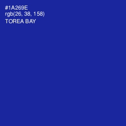 #1A269E - Torea Bay Color Image