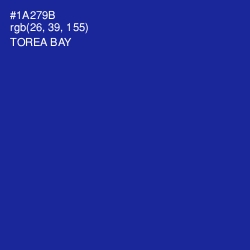 #1A279B - Torea Bay Color Image