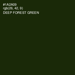 #1A2A09 - Deep Forest Green Color Image