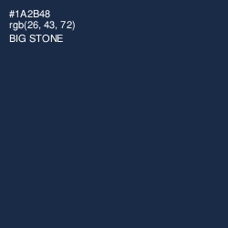 #1A2B48 - Big Stone Color Image