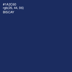 #1A2C60 - Biscay Color Image
