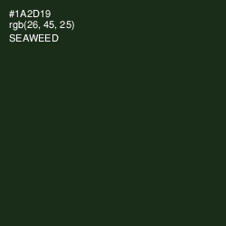 #1A2D19 - Seaweed Color Image