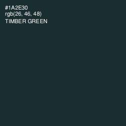 #1A2E30 - Timber Green Color Image