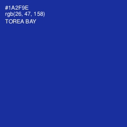 #1A2F9E - Torea Bay Color Image