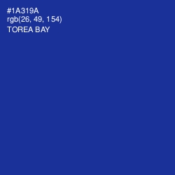 #1A319A - Torea Bay Color Image