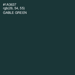 #1A3637 - Gable Green Color Image
