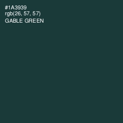 #1A3939 - Gable Green Color Image