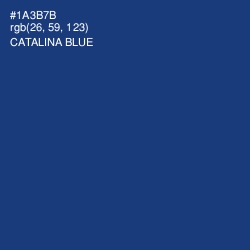 #1A3B7B - Catalina Blue Color Image