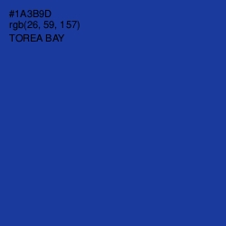 #1A3B9D - Torea Bay Color Image