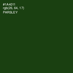 #1A4011 - Parsley Color Image