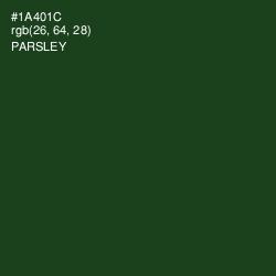 #1A401C - Parsley Color Image